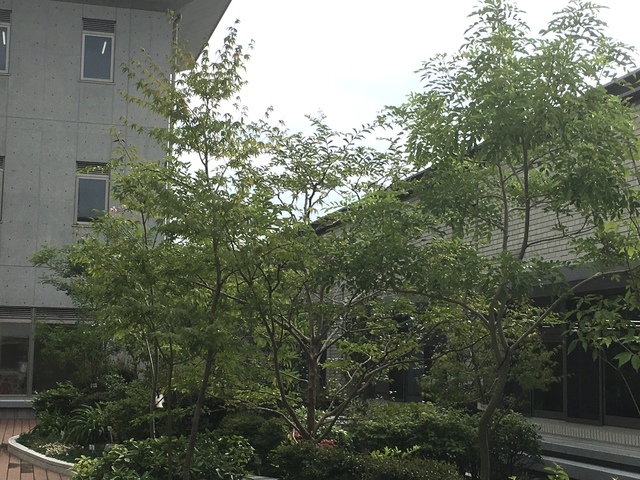 D62586F9-482D-498C-8C48-EC868E37C07D.jpeg